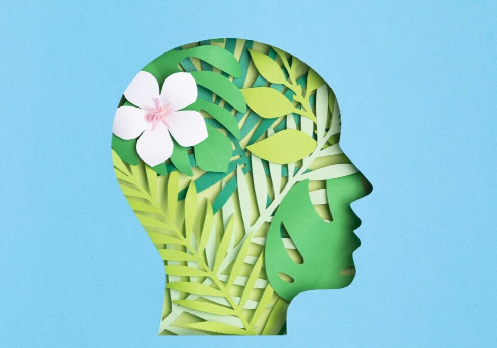 Papercut head with with green leaves inside. Mental health, psychology, memory, logic, green thinking, ecology concept